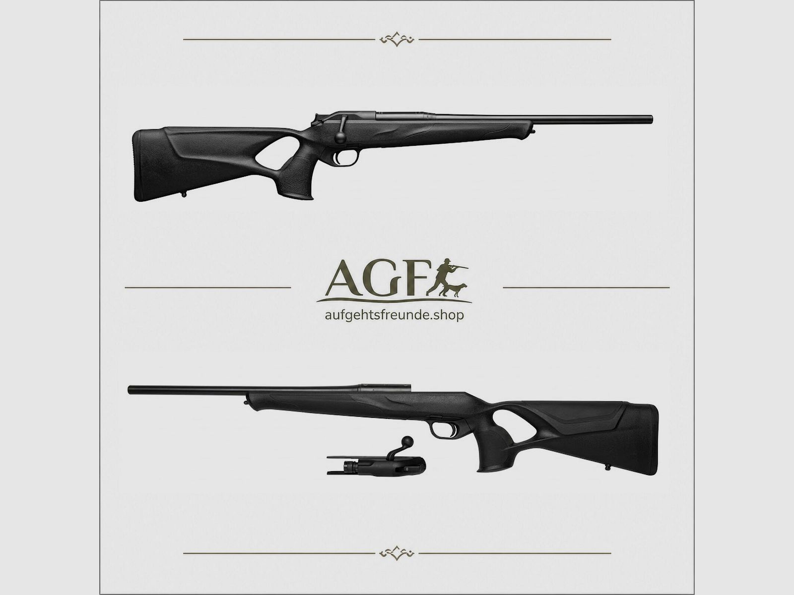 Blaser R8 Professional Success, afbeelding 1 van 10