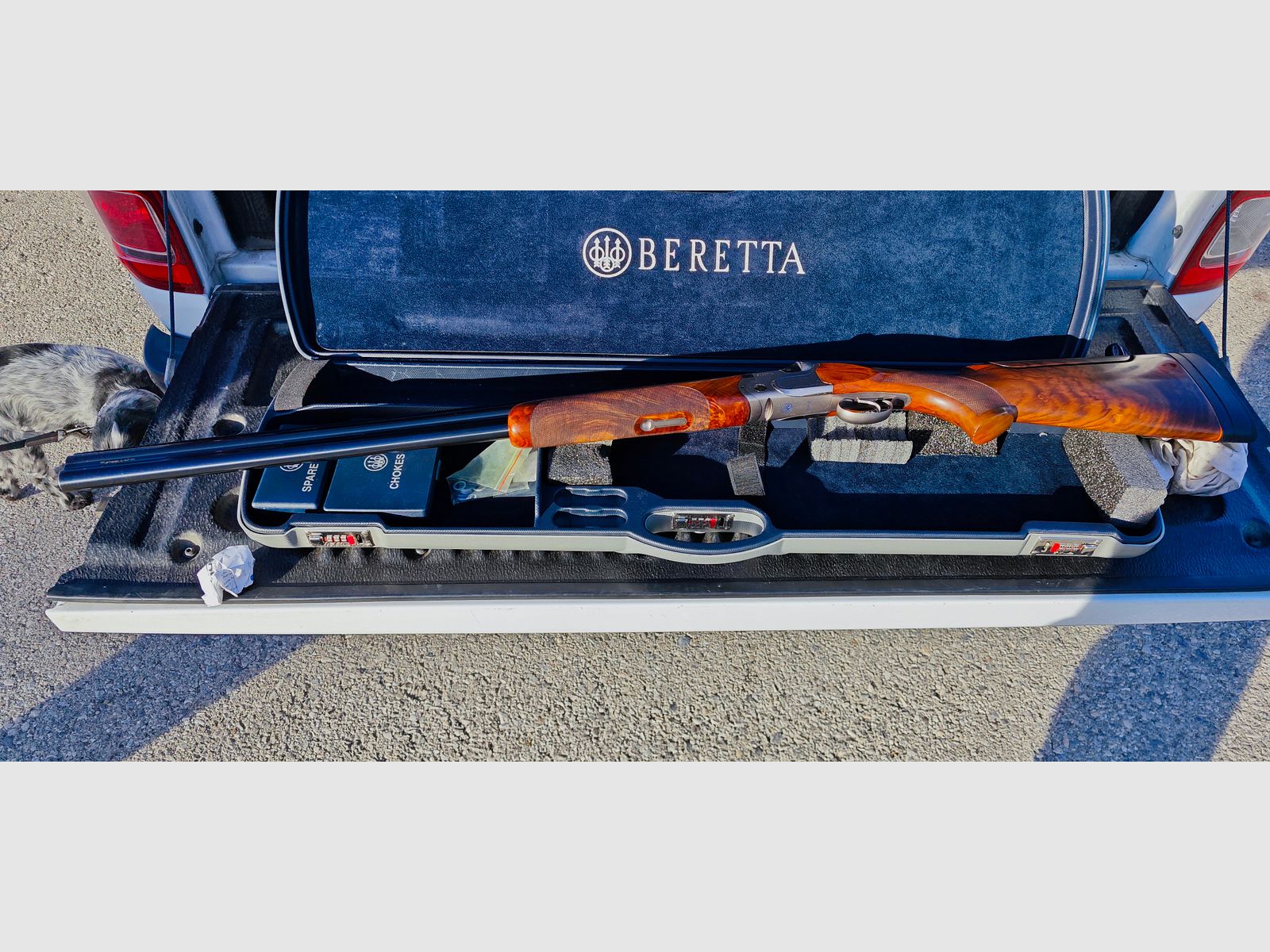 Beretta DT11 Sporting