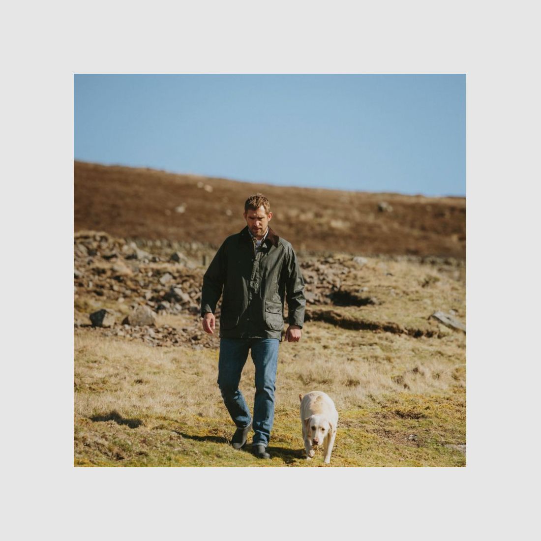 Barbour H-Jacket Bedale Wax, image 10 of 12
