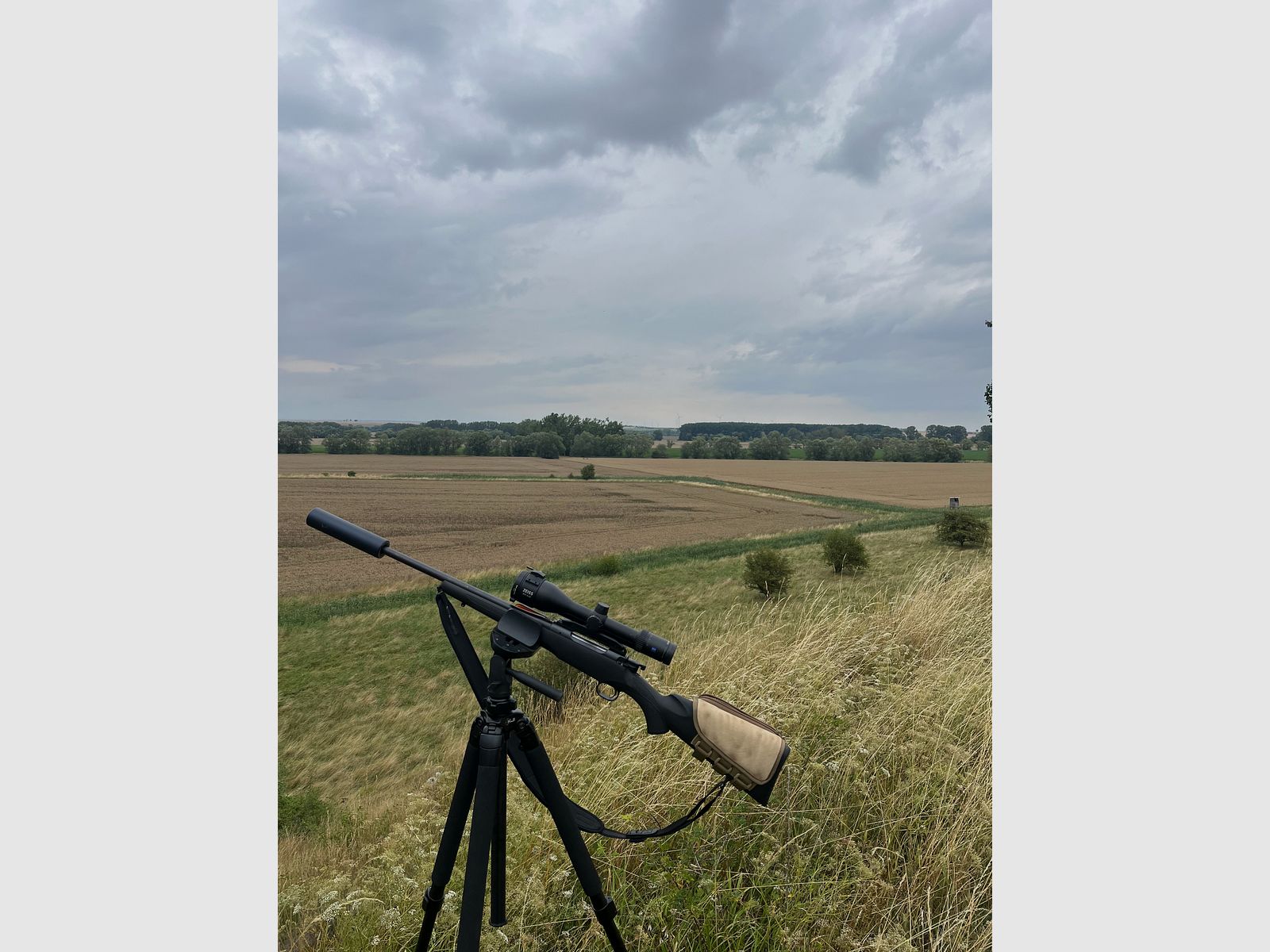 Mauser 12, 308 Win, + ZEISS Zielfernrohr Conquest V4 3–12x56