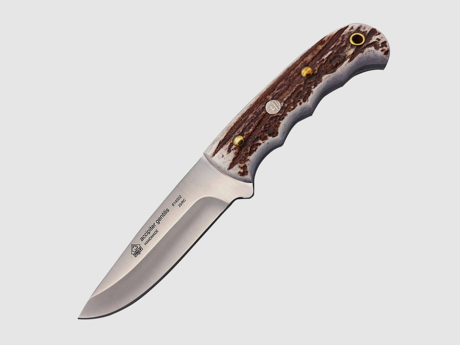 PUMA IP accipiter gentilis