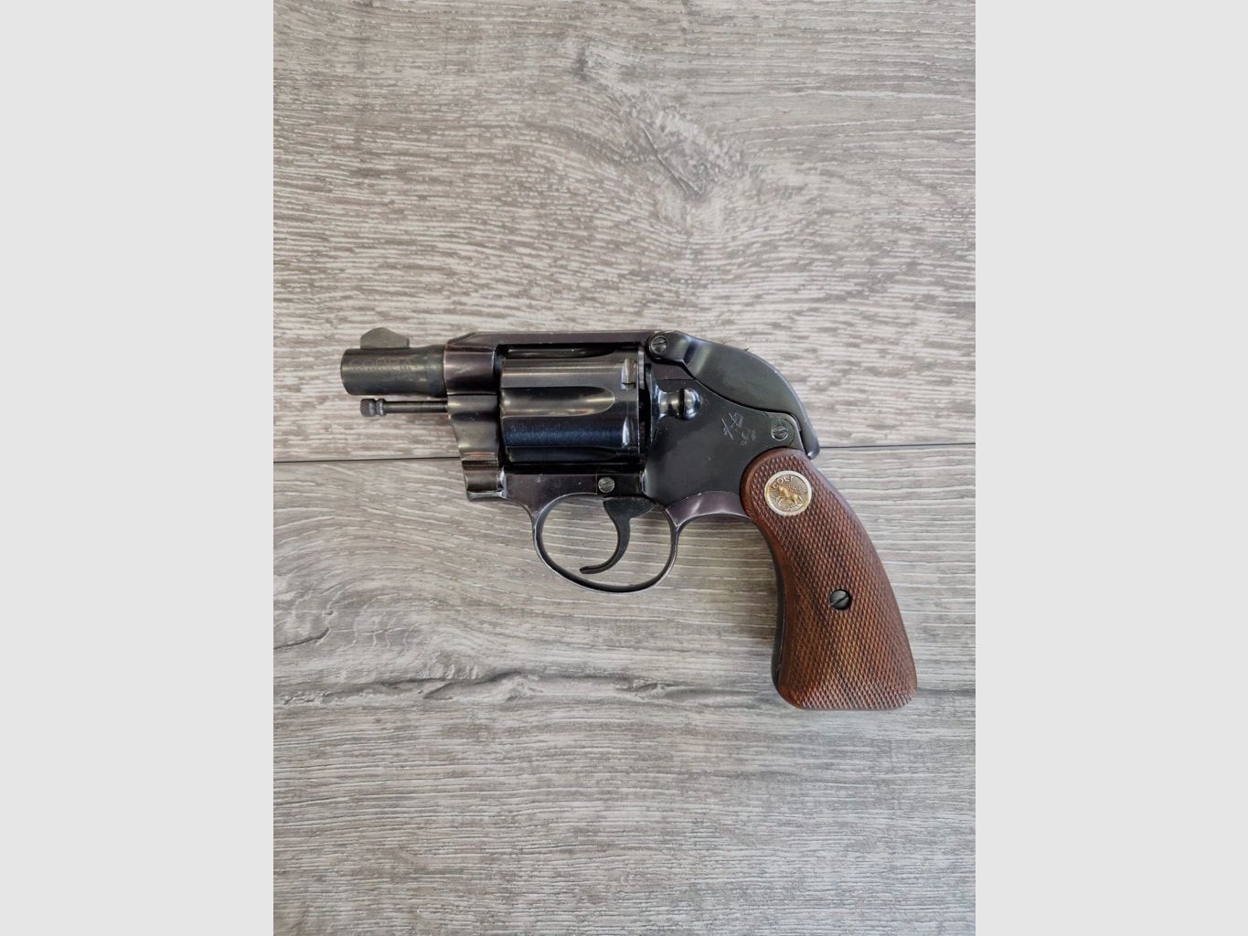 Cobra / 50 mm, Bild 2 von 2