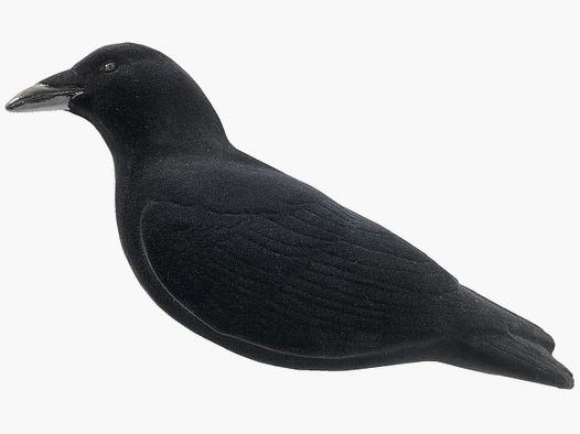 Final Approach Set di Richiamo Lock Crow Ultimo Passaggio