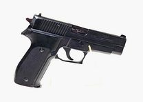 SIG SAUER P226 Redukta
