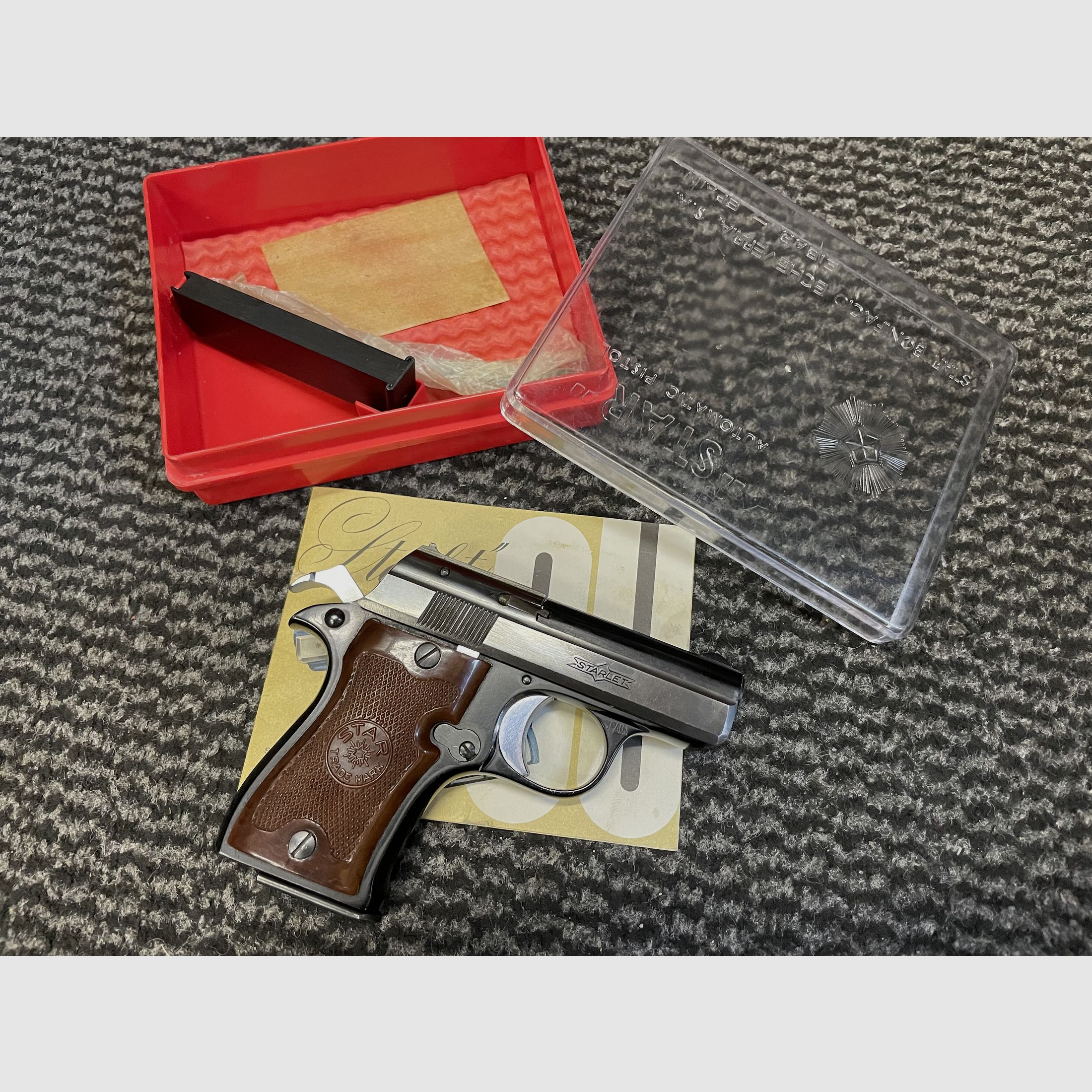 Echeverria Stella Stella Stellina