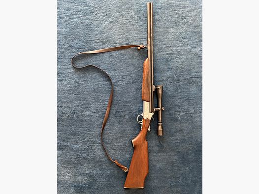 Savage Model 24B - DL