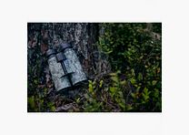 ZEISS – BINOCOLO TERRA ED 10X42 CAMO LIMITED ED