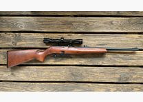 Remington Mod.597 met richtkijker 4x32 .22lr