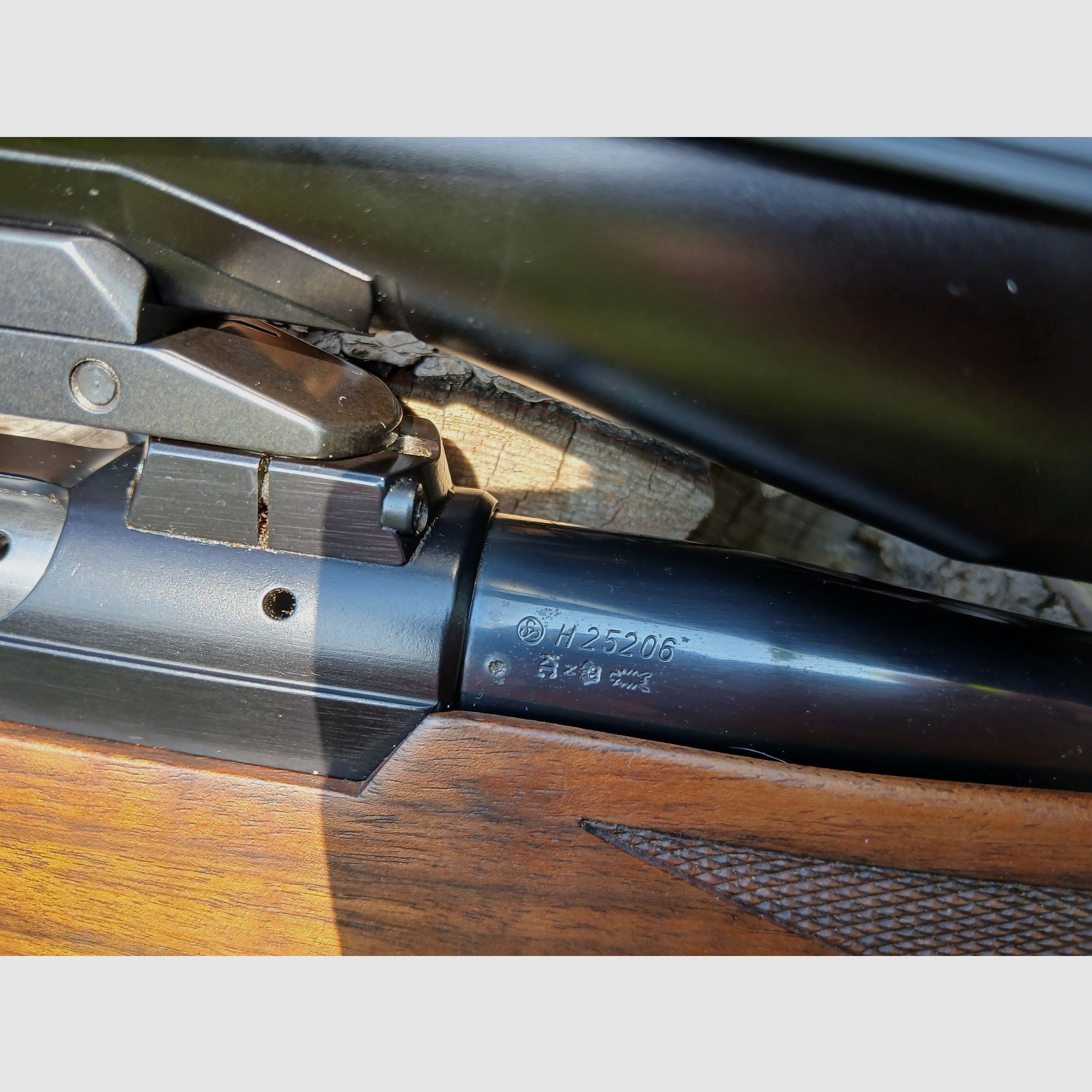 Sauer 200 im Kaliber  .308 Win