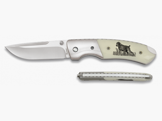 Albainox Foldekniv | Ivory - Jagthund | 8cm
