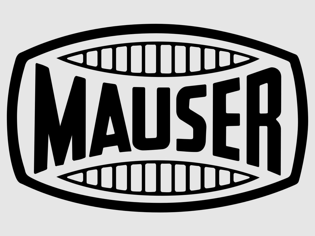 Mauser Repetierbüchse 18 Standard Erdfarben