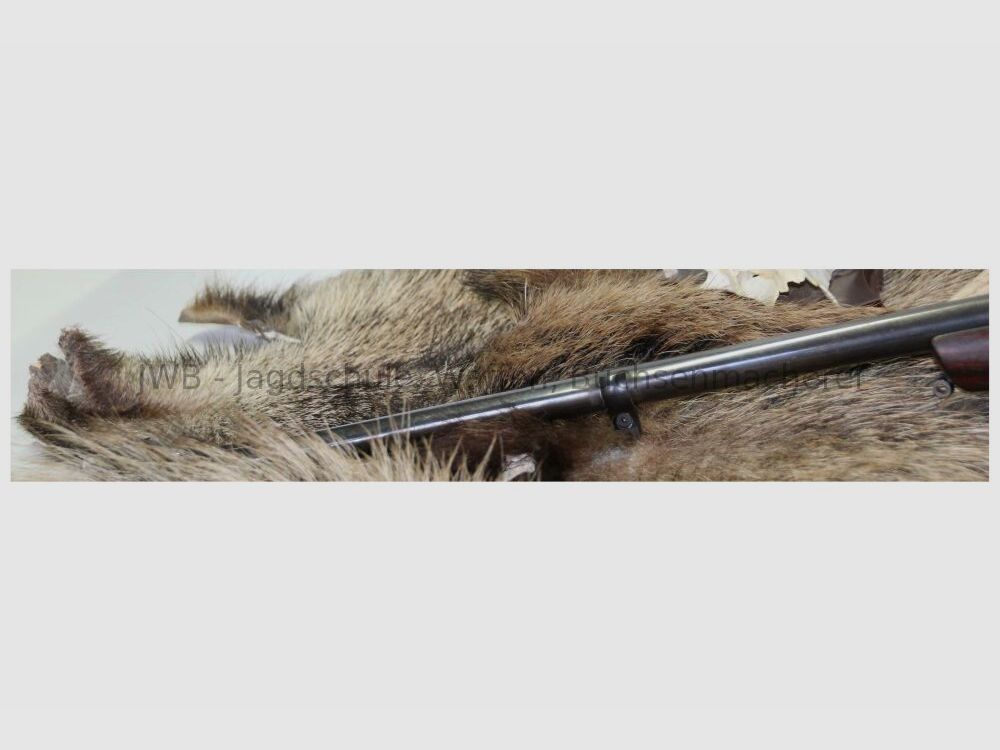 Sauer & Sohn 80 avec Zeiss Diavari .300WinMag