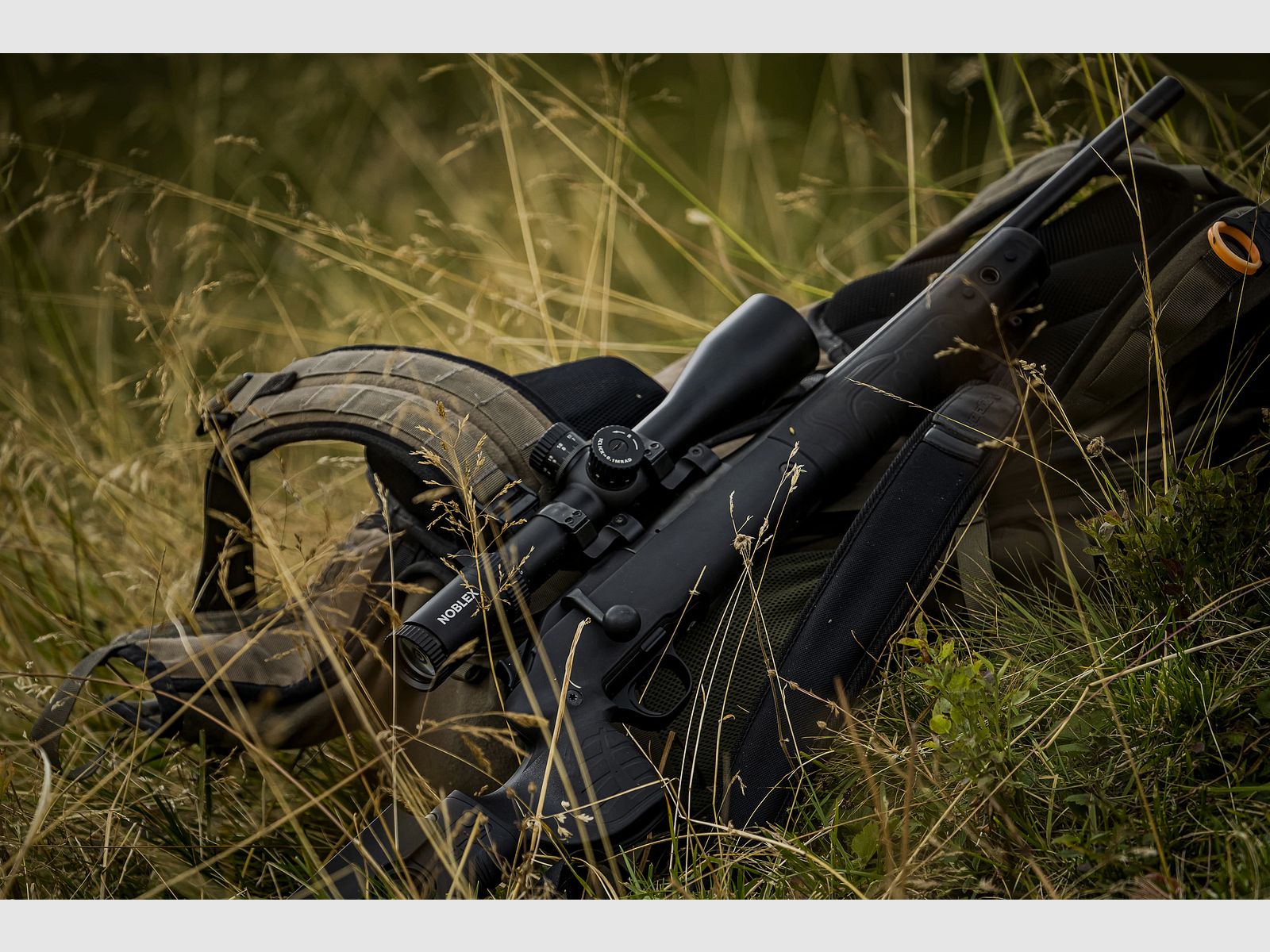 Noblex NZ8 2,5-20x50 inception