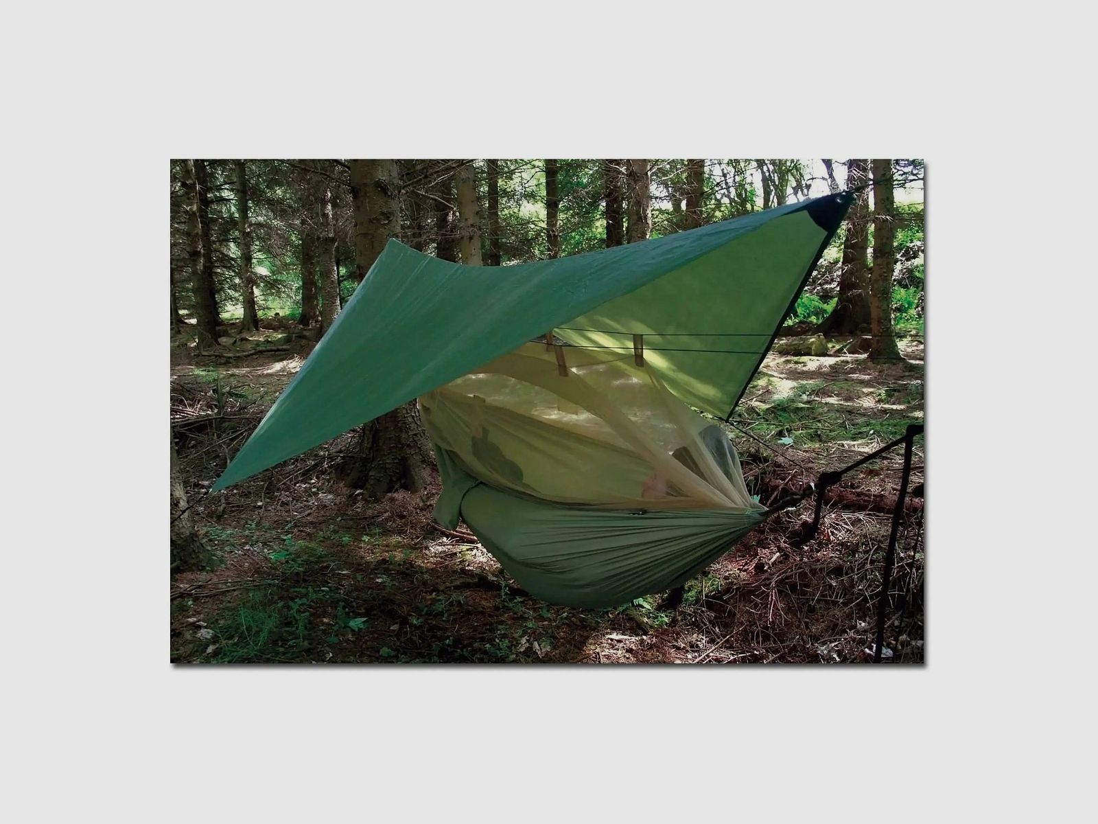 Pro-Force Pro-Force Hängematte Highlander Nomad oliv