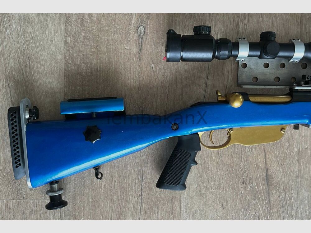 Steyr Arms Modifiziert .308Win