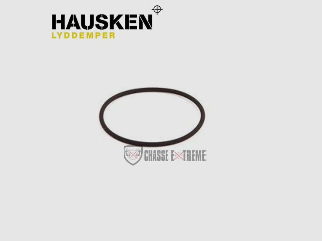Schalldämpfer HAUSKEN Durchmesser 44mm für MD45