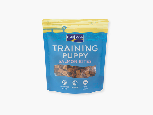 Training Puppy Salmon