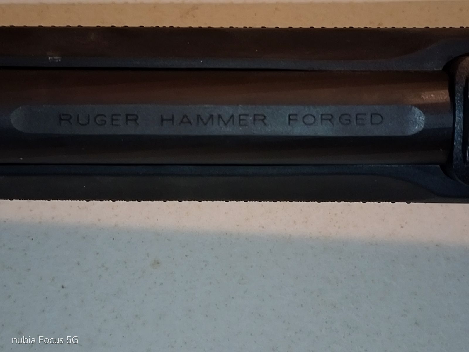 Ruger 10/22 