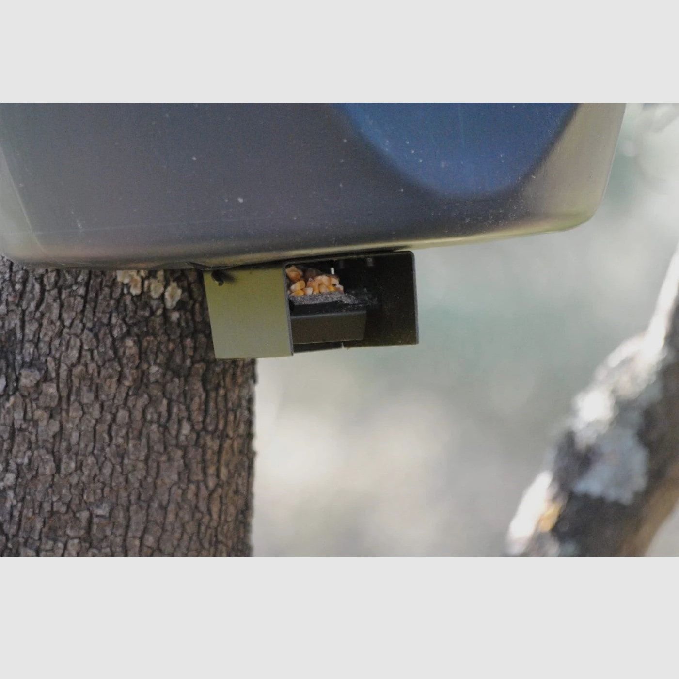 Automatic feeder dispenser BSF Yimi, image 6 of 7