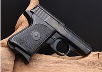 Walther TP