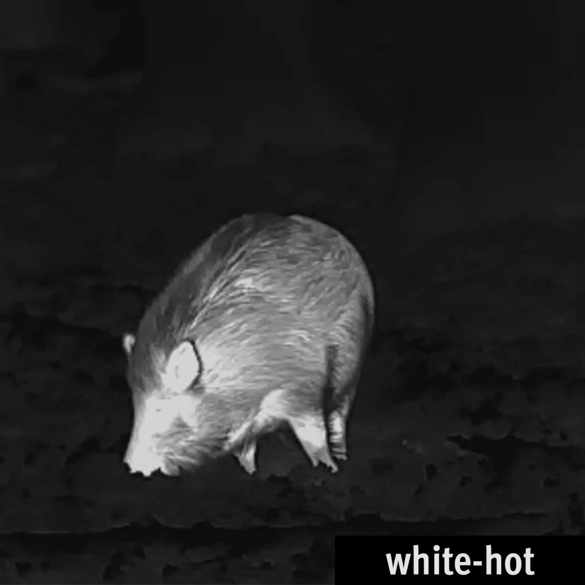 Lahoux Spotter 35 warmtebeeldcamera