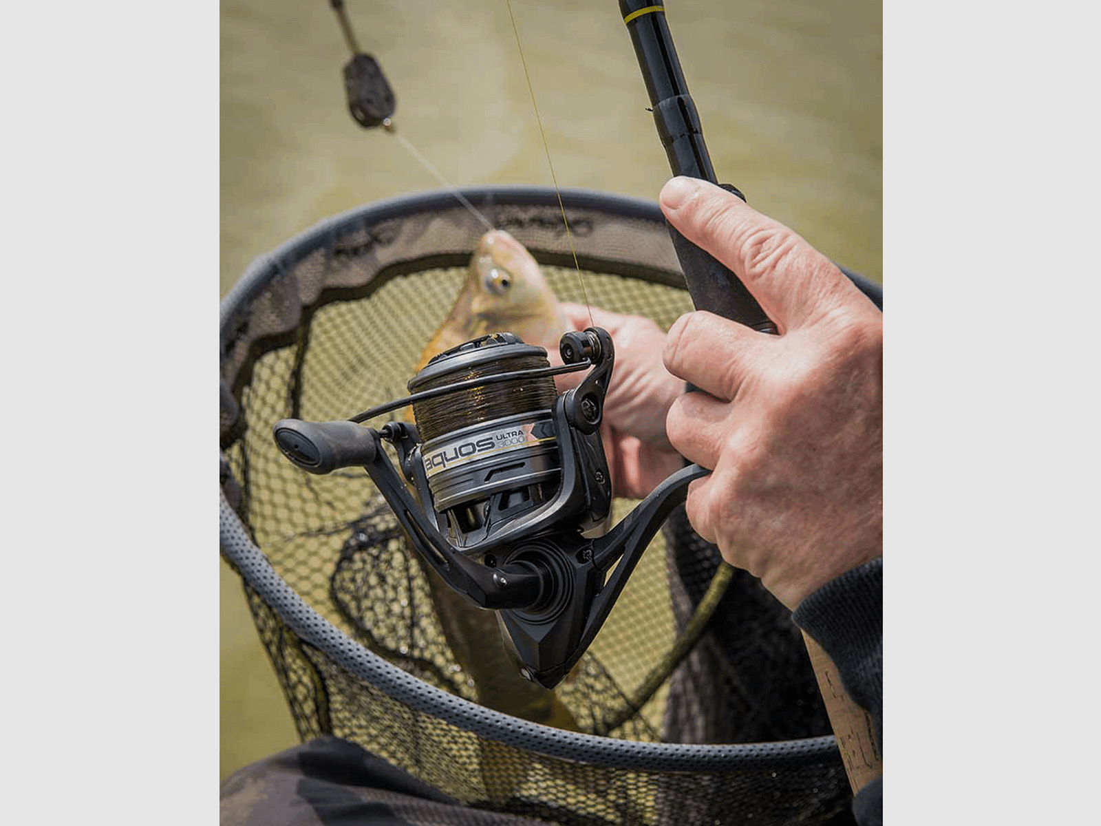 REEL – MATRIX – AQUOS ULTRA REEL, image 15 of 20