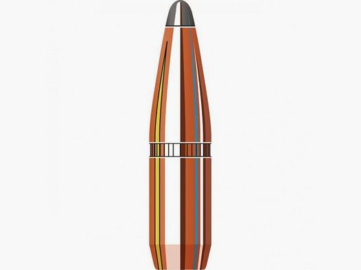 .243 Geschosse Hornady InterLock BTSP 100 gr VE100