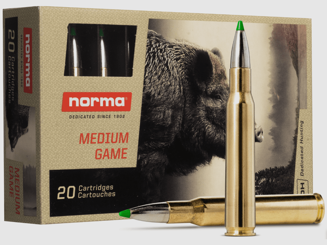 Norma .308 WIN ECOSTRIKE SILENCER 9,7 g 150 gr - 20 Stk