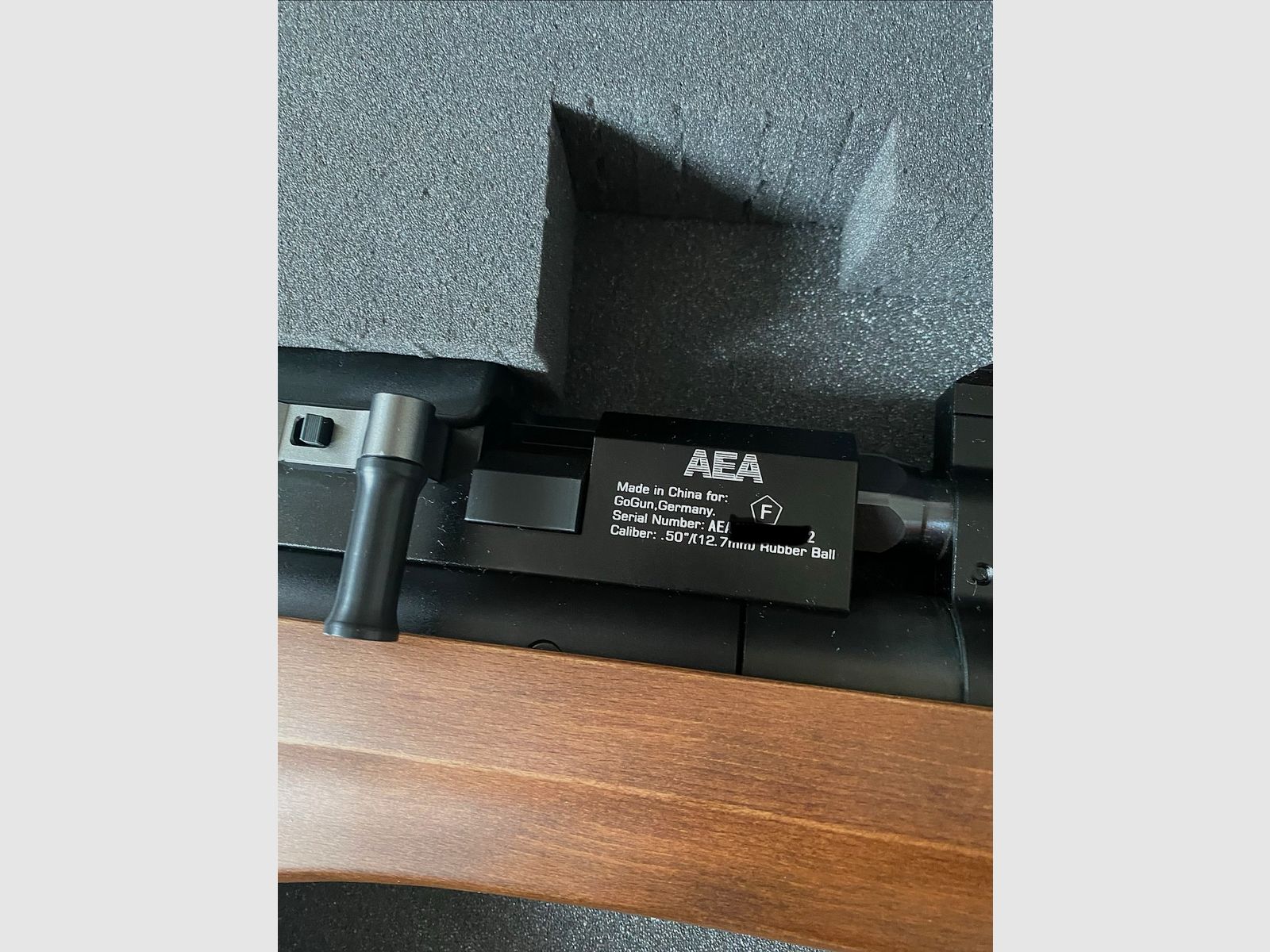 AEA Challenger