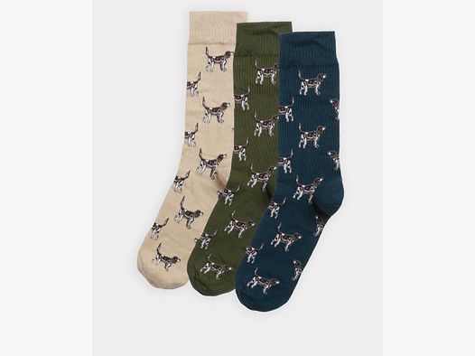 Barbour chaussettes pour chien en coffret cadeau forest mist