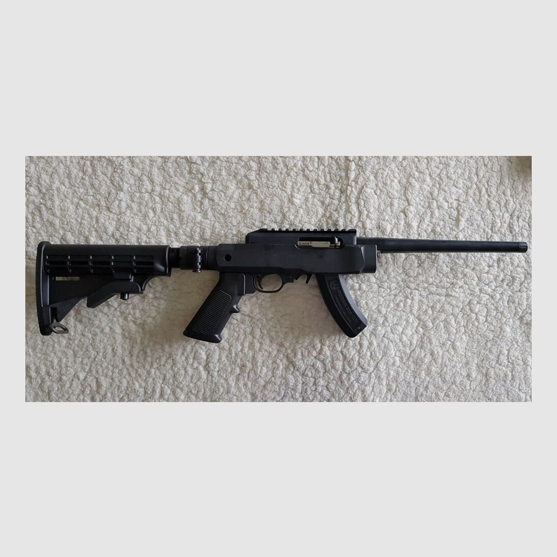 Ruger Charger 22