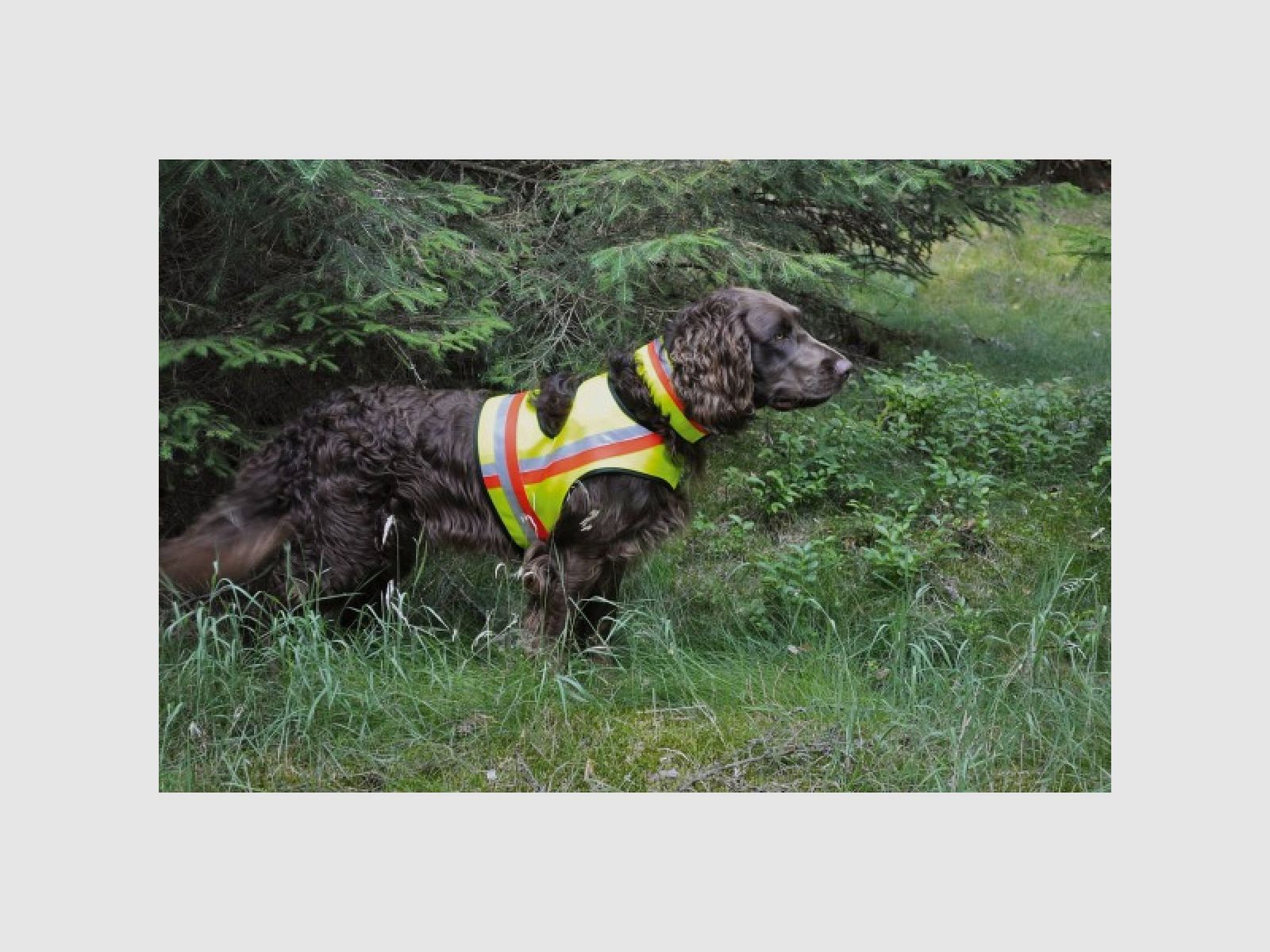 Dominicus Hundewarnweste mit 2 Klettverschlüssen M