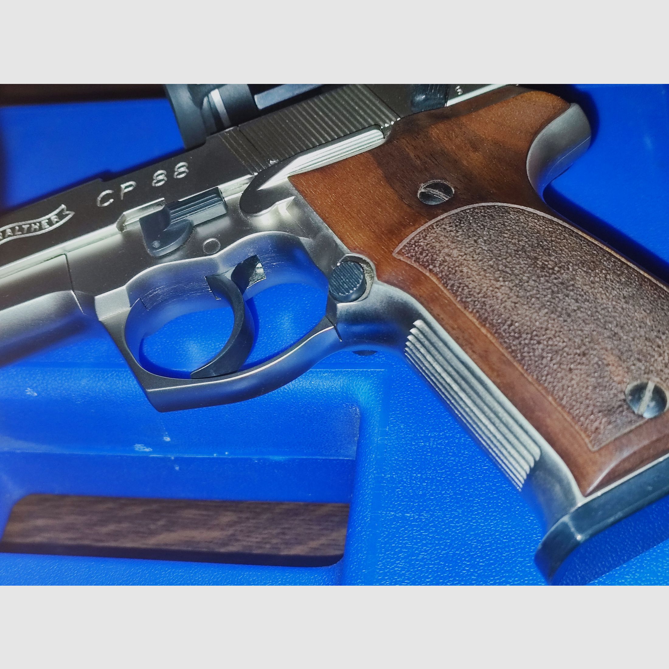 Walther CP88 Set de compétition Nickel/Bois + Hawke Point rouge