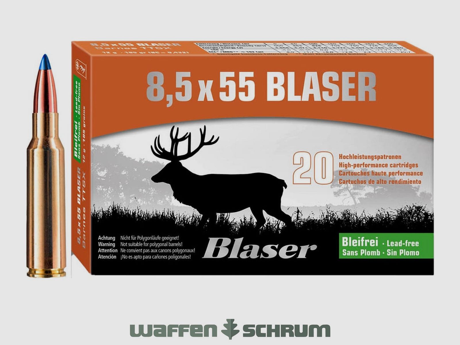 Blaser Barnes TTSX 10.4g - 160gr 8.5x55Blaser