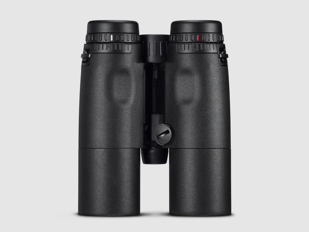 Geovid R 10x48, imagen 2 de 4