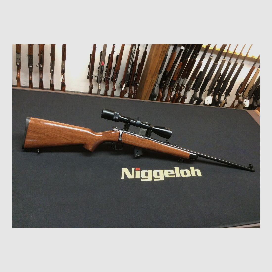 Norinco JW 15	 .22lr