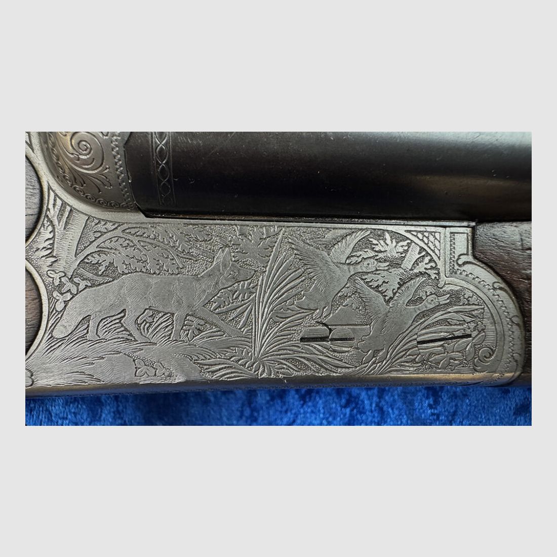 Sauer & Sohn 3000