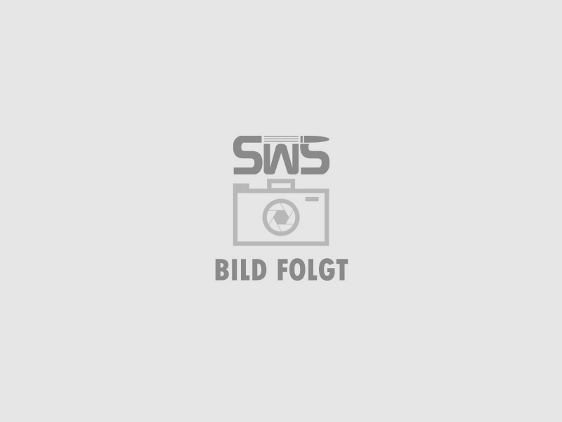 Abzugssystem fĂĽr Luftgewehr HĂ¤mmerli Black Force 800, Ersatzteil