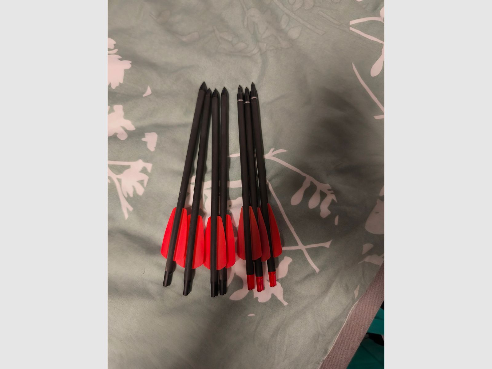 EK Archery Cobra RX viel Zubehör