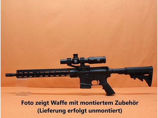 AimZone Ha.Büchse .223Rem AimZone Aim15 Basic Sporter 16M Sistema AR-15 +Geco 1-6x24 mira telescópica+Burris PEPR