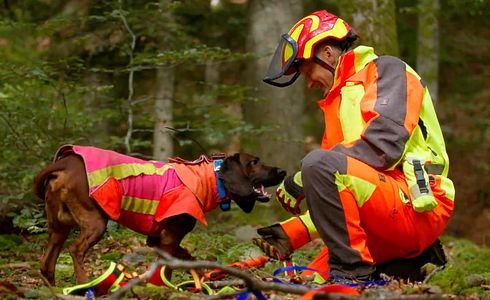 Die Schweißarbeit mit dem Hund