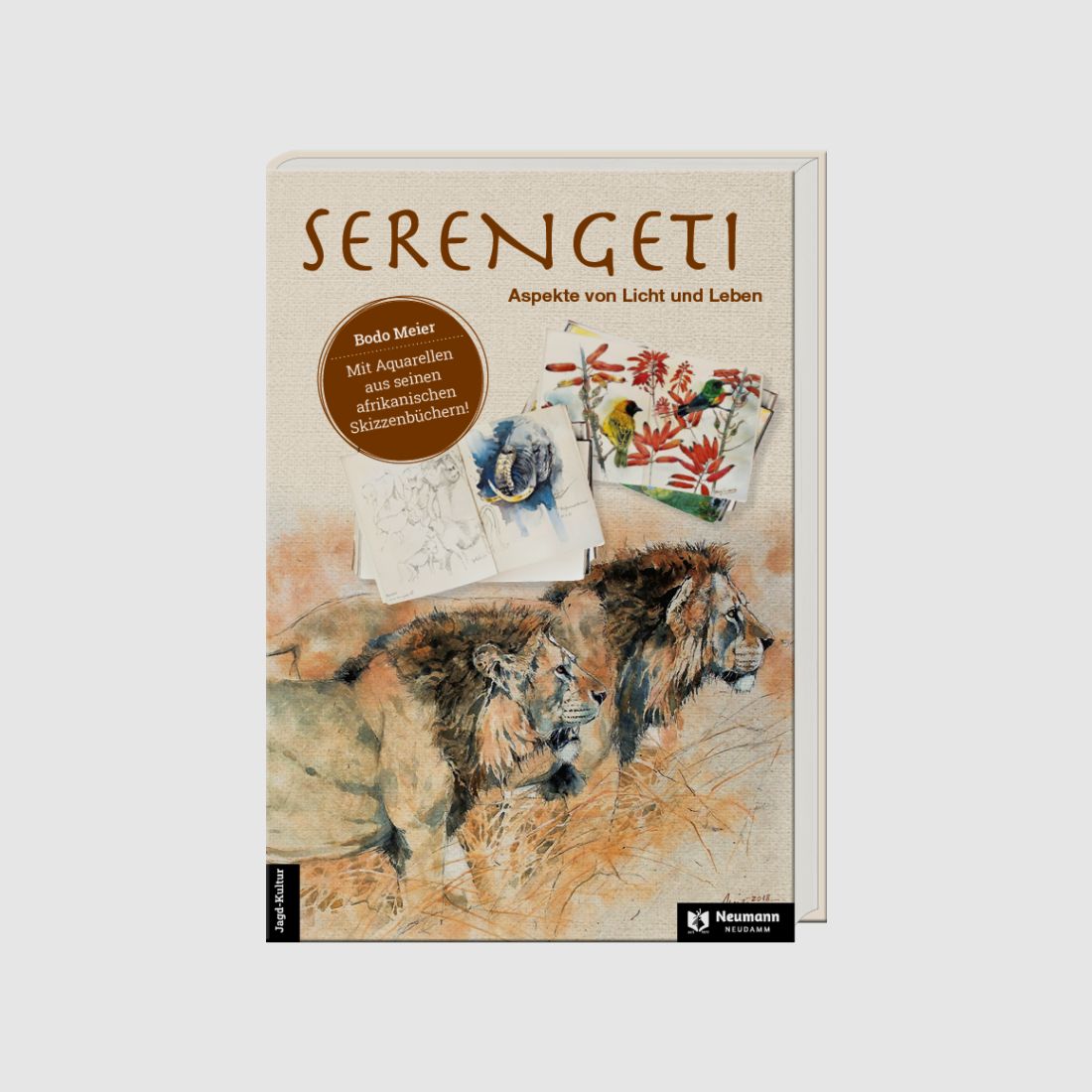 Serengeti Aspekte von Licht und Leben von Bodo Meier