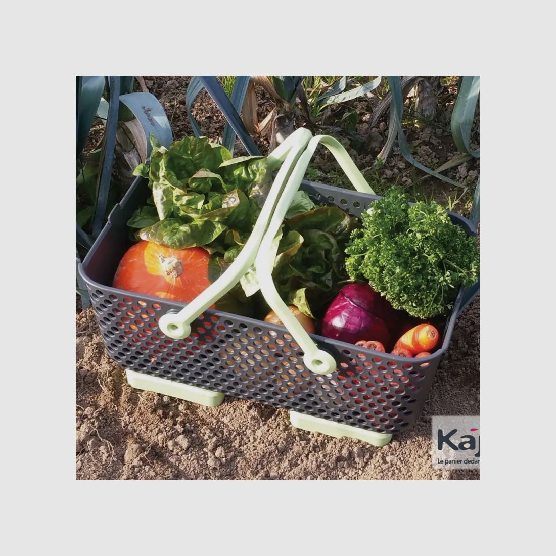 Oogstmand Kajo 15L – Stapelbaar, geperforeerd, opvouwbaar, afbeelding 3 van 6