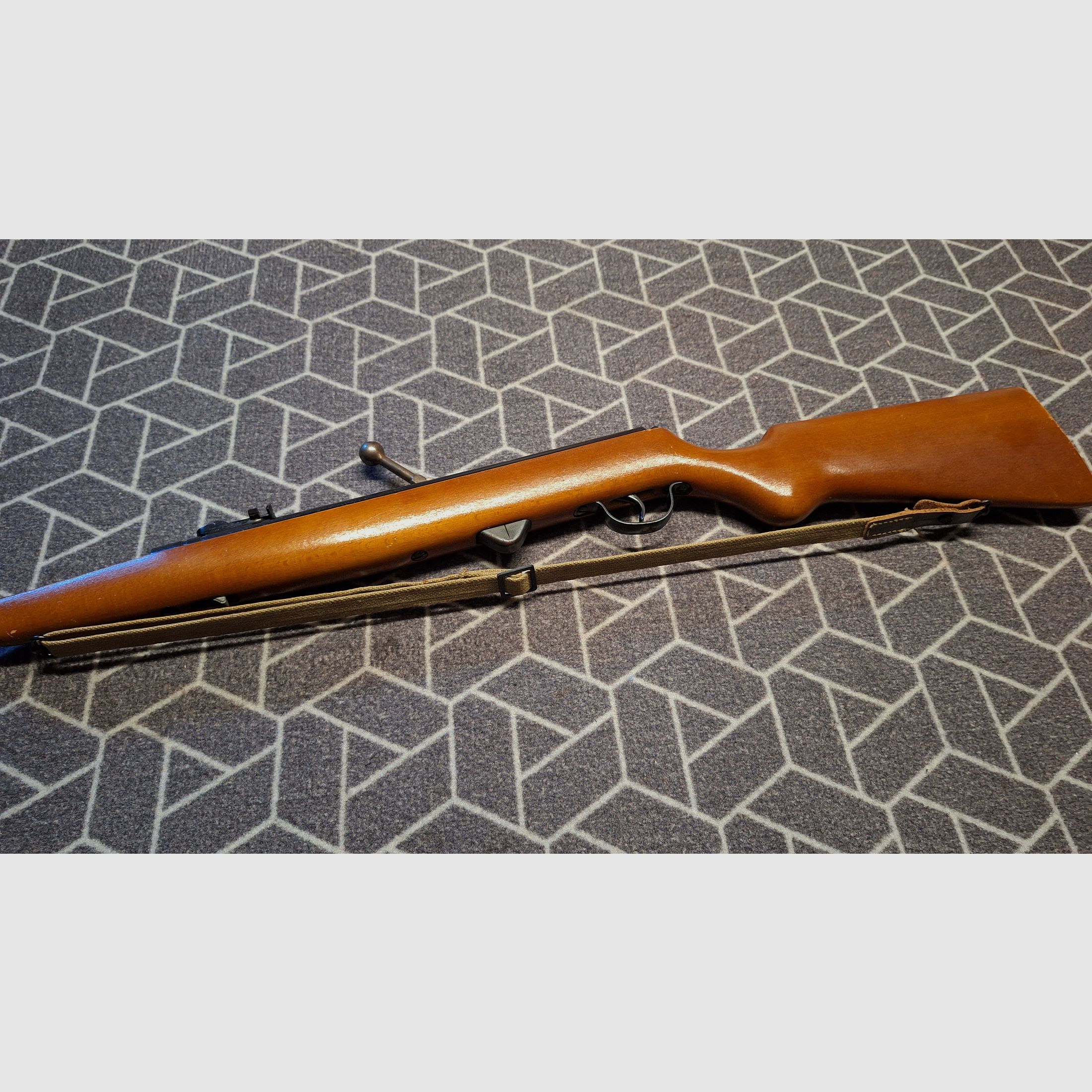 Haenel Suhl 310 air rifle with 12-round magazine + case!