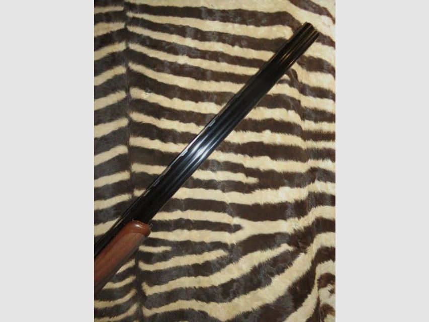 Bockdoppelflinte RIZZINI Artemis Steel Kal. 28/76 Läufe 76 cm 5 Chokes falscher Körper, Bild 2 von 11