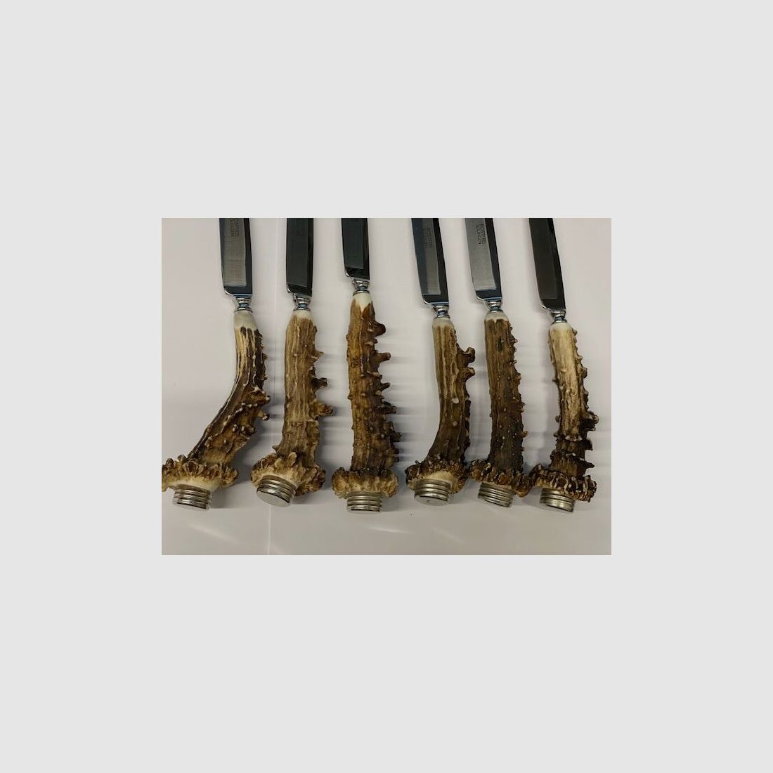 Steakmesser aus Rehgehörn – 6 Stück, Bild 2 von 3