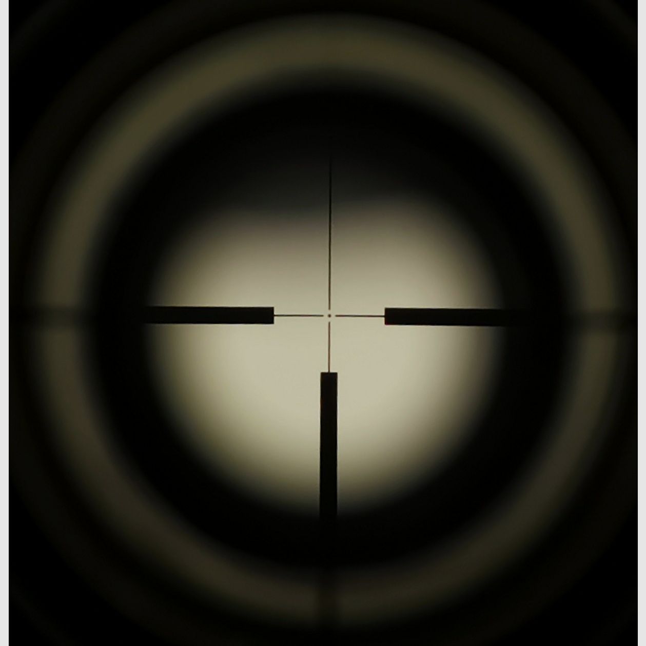 Blaser GB 860 Luxe avec Svarovski Habicht 3-12x56