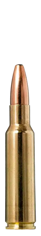 8.5×55 Blaser Norma Oryx 14.9g / 230grs., image 2 sur 2