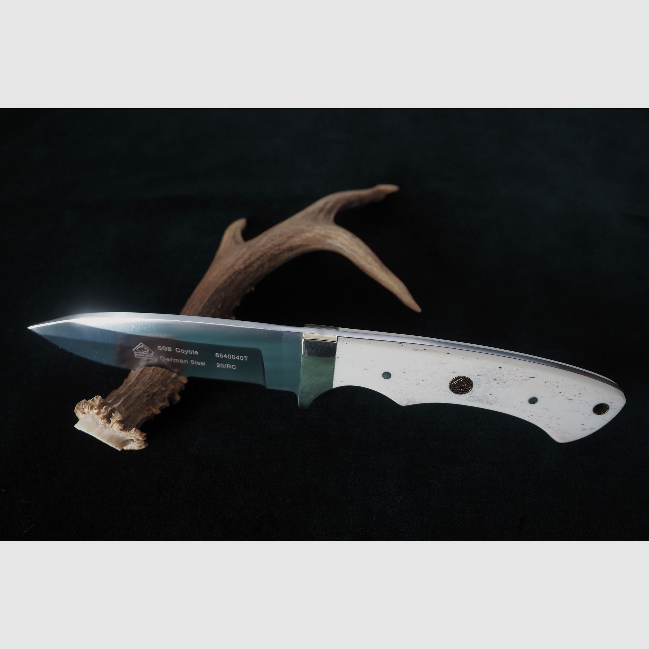 Puma SGB Coyote Glattes Weißes Knochen-Jagdmesser mit Lederscheide, Vitrinen Stück aus Sammlung, Neu und unbenutzt