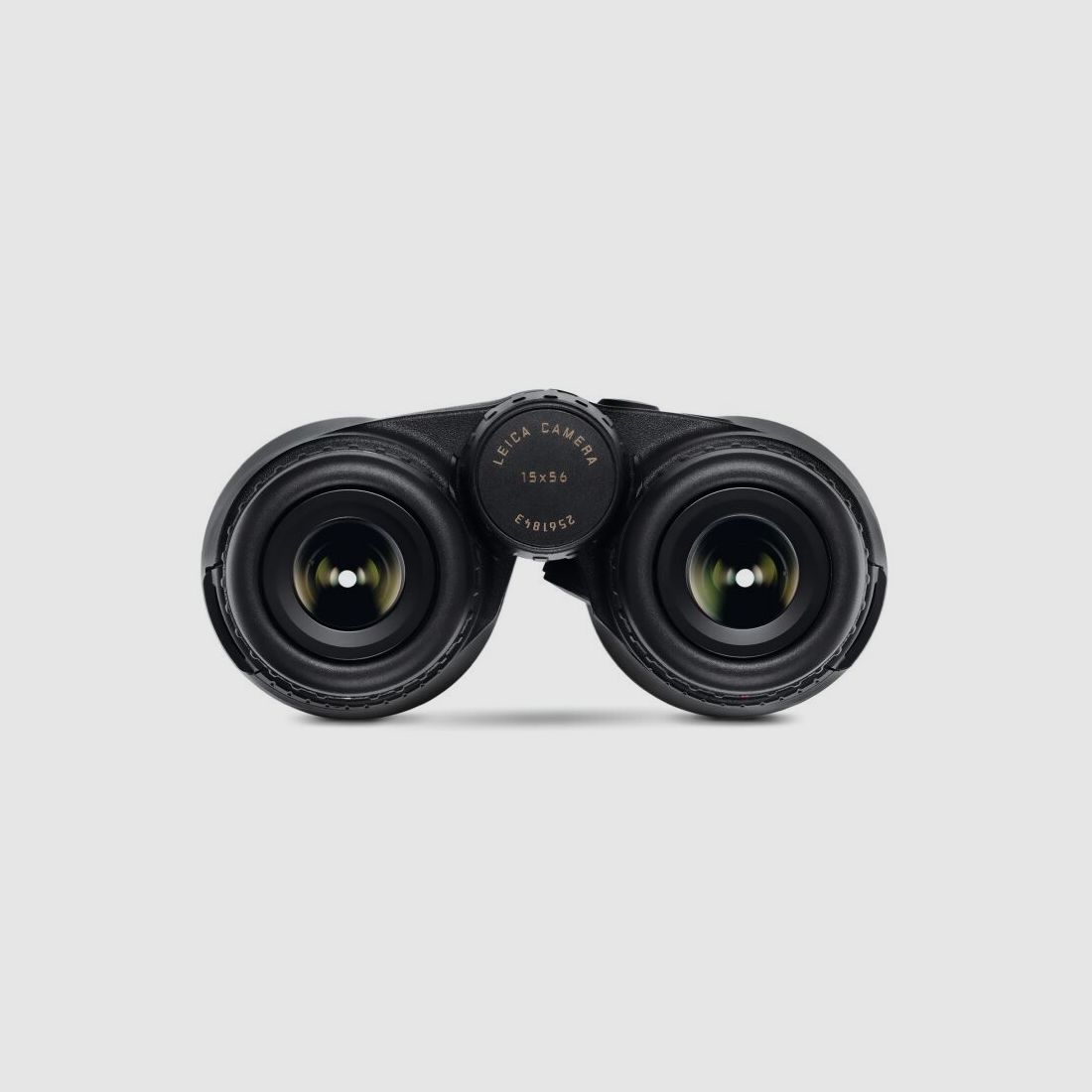 Leica Fernglas Geovid R SE 56